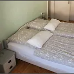 Schenk Schmitz *