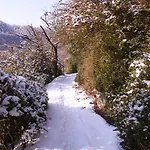 Schenk Schmitz