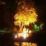 Schenk Schmitz *