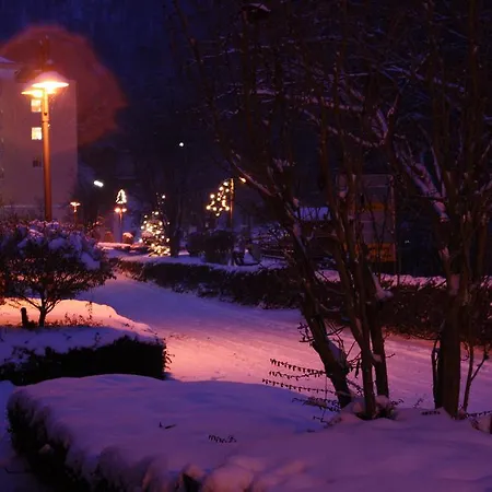 Schenk Schmitz * Бад-Бертрих