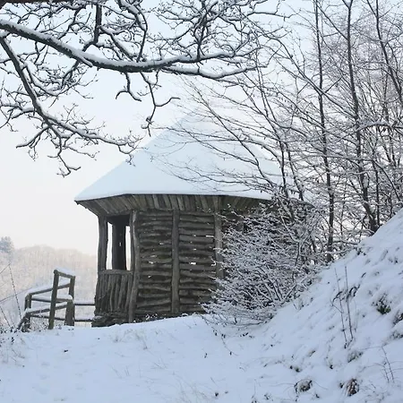 Schenk Schmitz * Бад-Бертрих