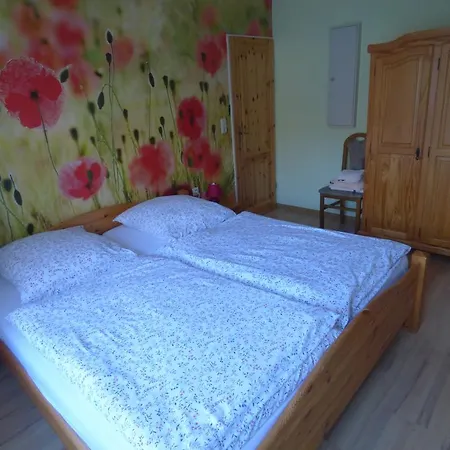 Schenk Schmitz * Бад-Бертрих