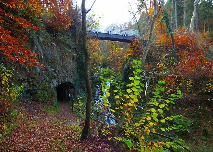 Schenk Schmitz Apartment Bad Bertrich